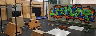dynasty fitness parkour.